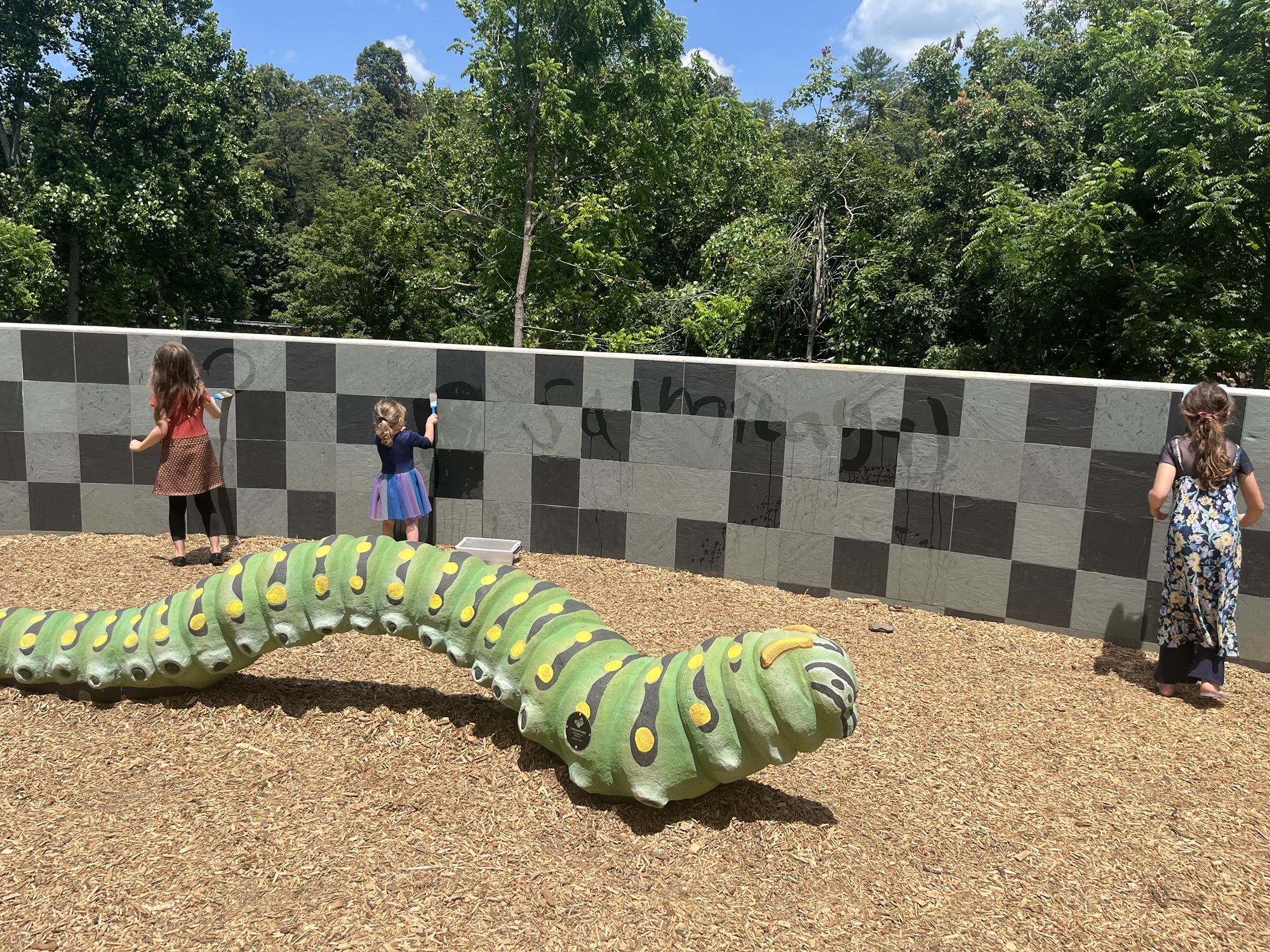 ZOOM Pass for Buncombe, Henderson, Transylvania County Library Users