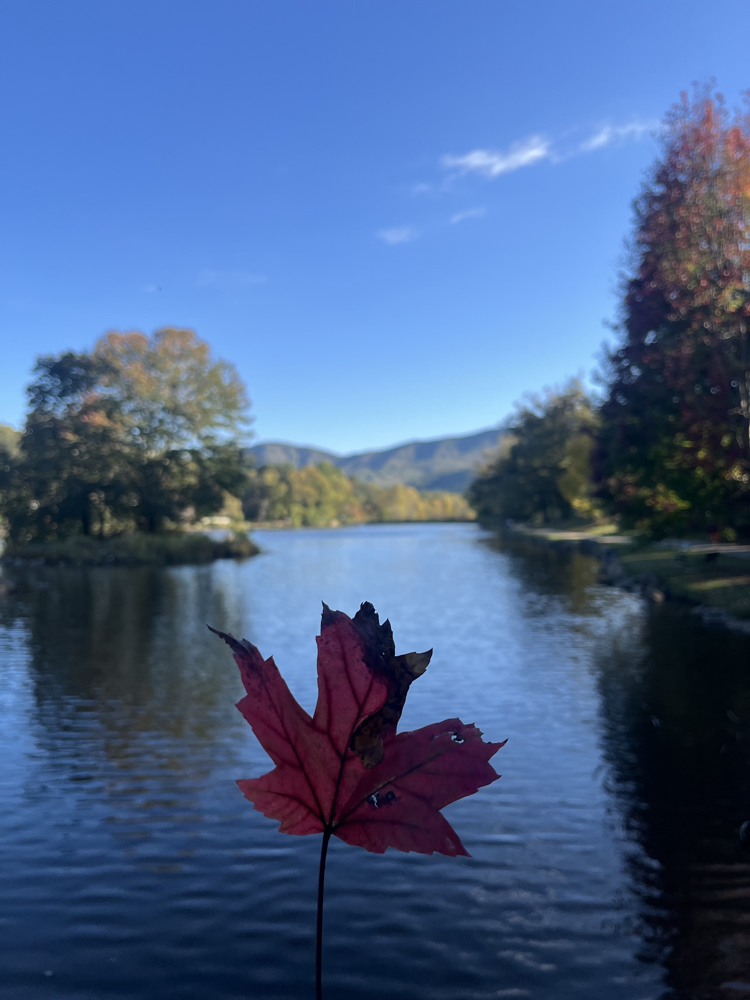 Lake Tomahawk in Black Mountain
