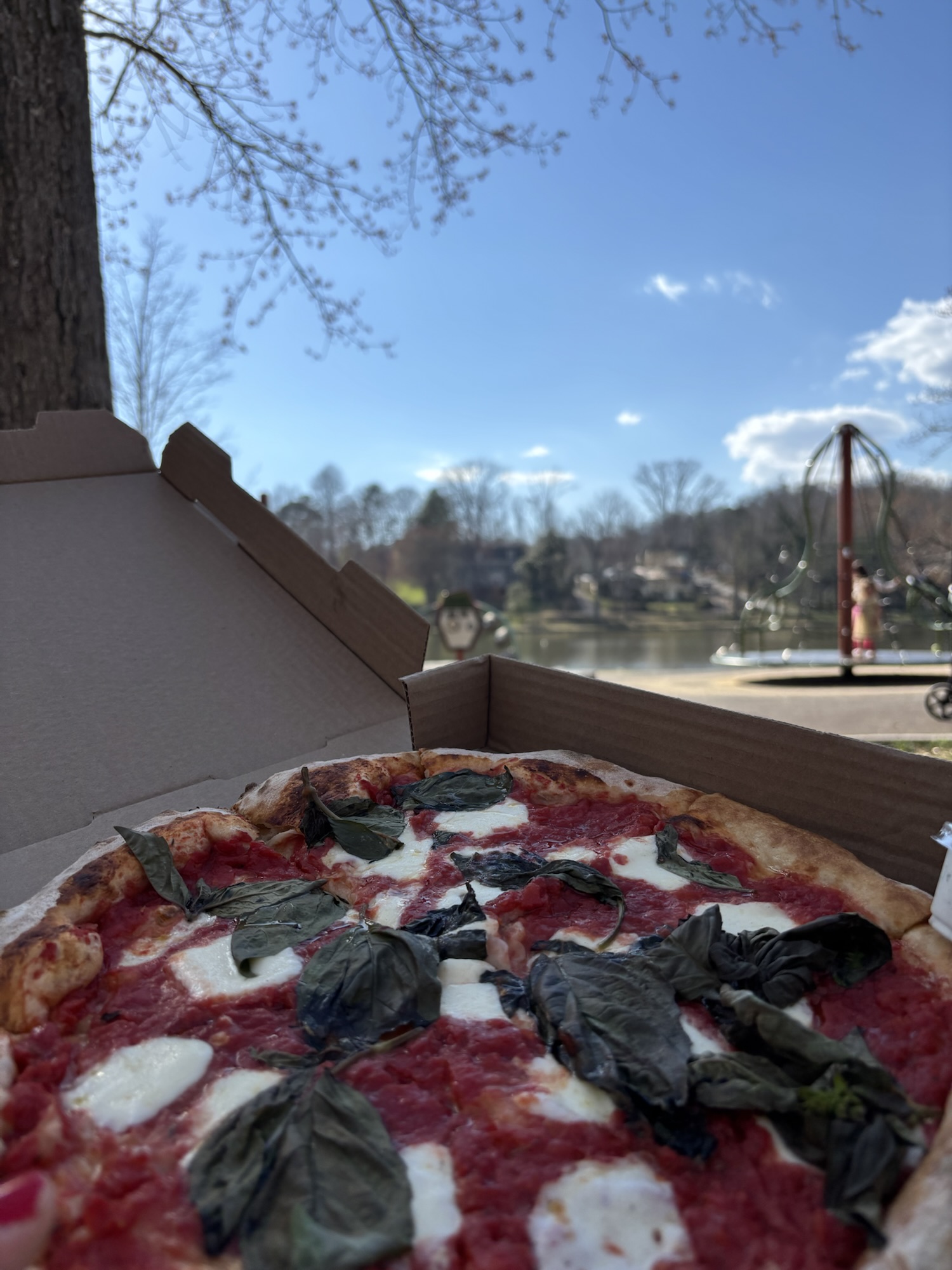 1 Hour in Black Mountain: Abbiocco Pizzeria, Peri Social House, and Lake Tomahawk