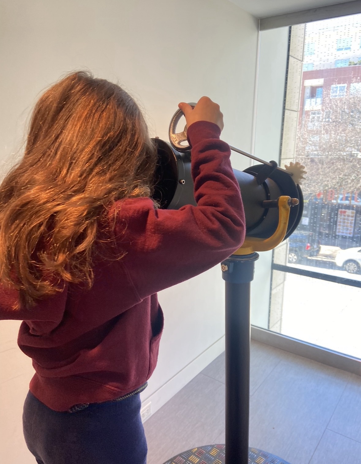 Let’s talk about memberships – WNC Nature Center, NC Arboretum, Asheville Museum of Science, & Asheville Art Museum